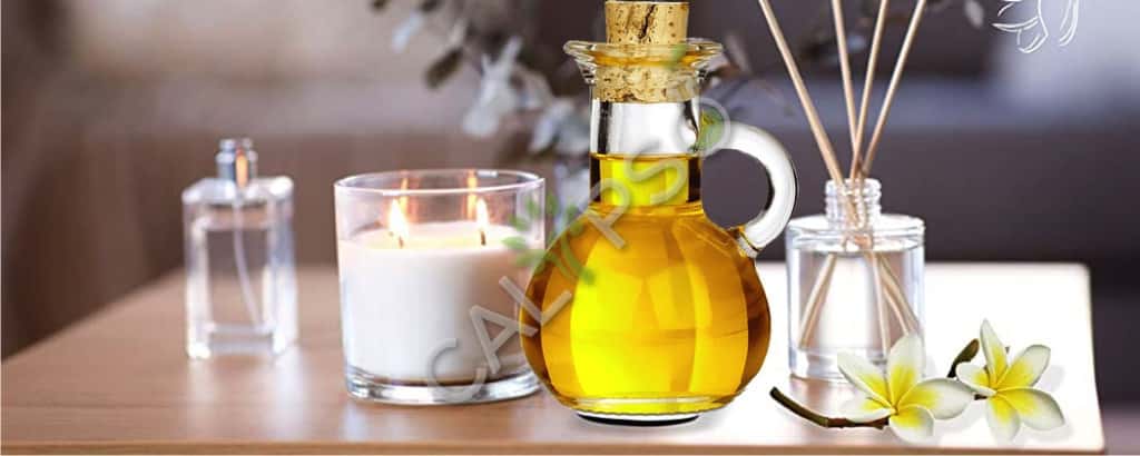 Pure Frangipani Aceite Absoluto